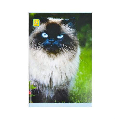 https://g-ua.org/nikitatoys/uploads/attachments/2025/06/26/1750965372_460-460-044.218.jpg
