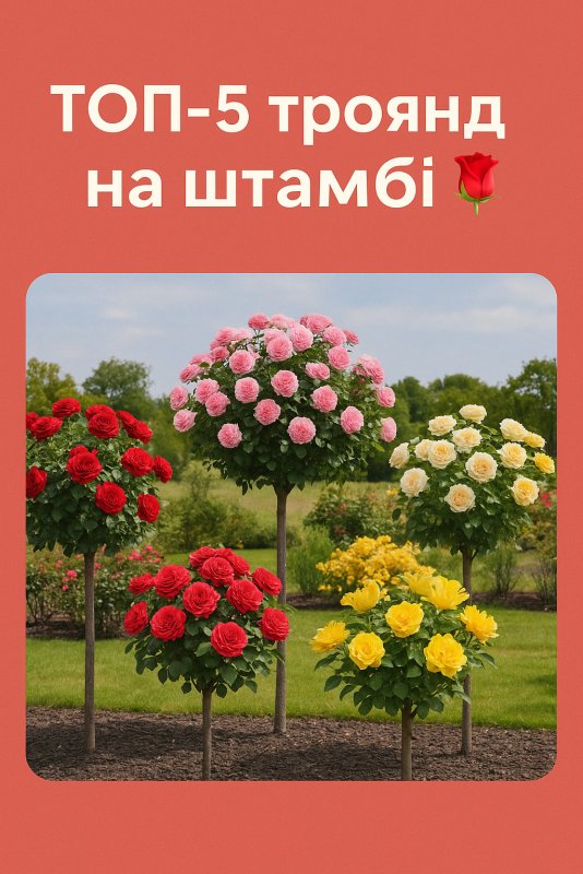 https://g-ua.org/sazhency/uploads/attachments/2025/08/09/1754749232_1754749116807317.png